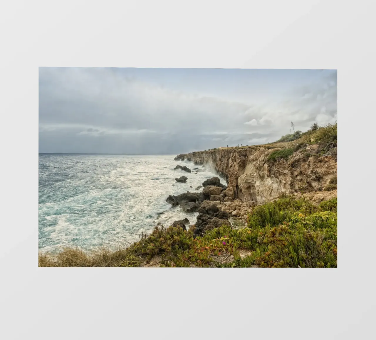 Costa di Malta telo in pvc da Curious Collections by Marielle Leenders