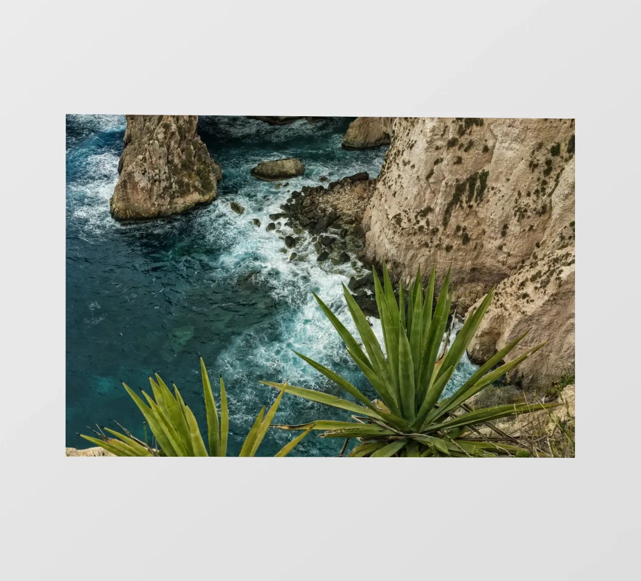 Costa di Malta pellicola backlit da Curious Collections by Marielle Leenders