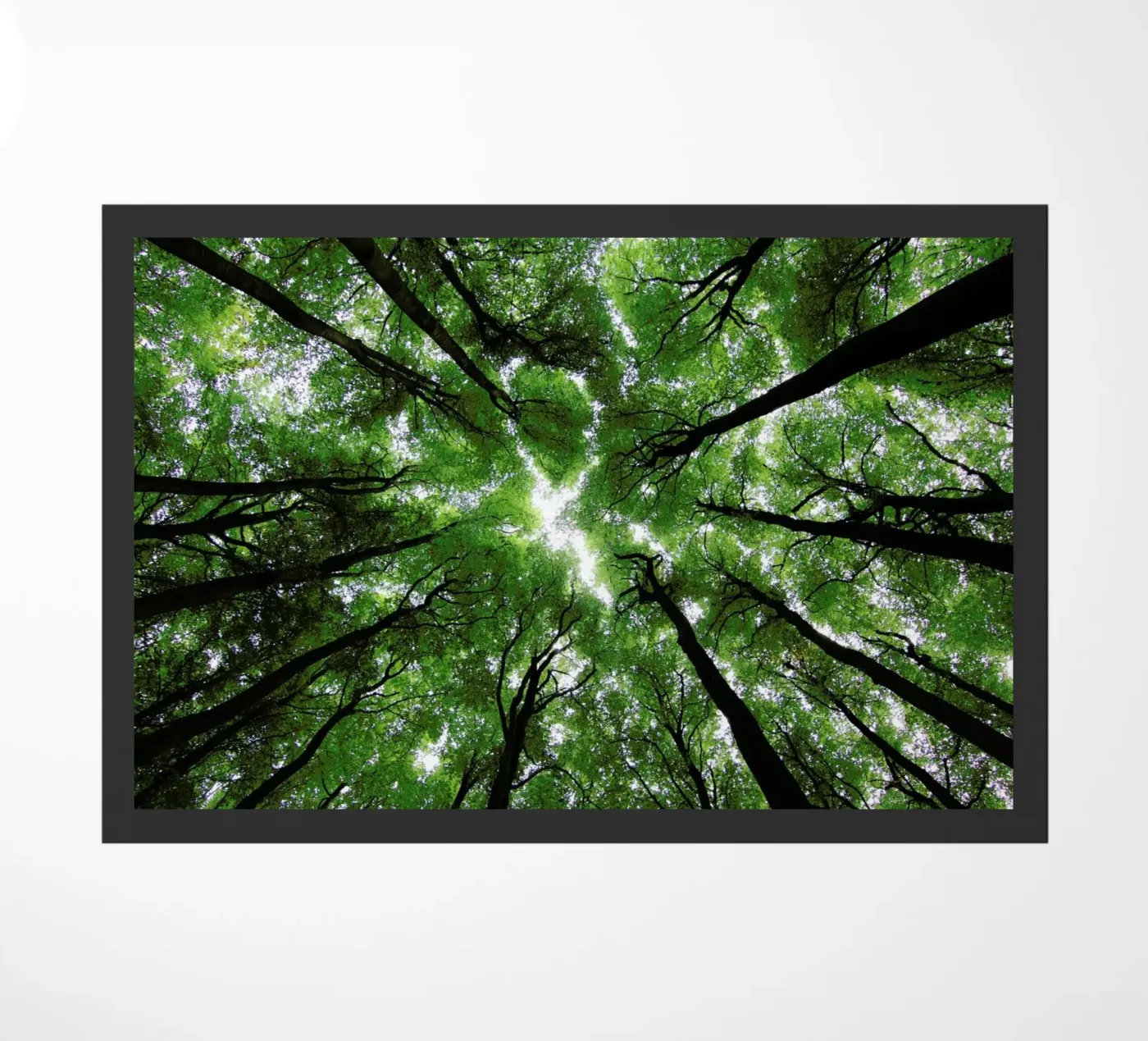Beechwood Fußmatte von Marc Gruninger