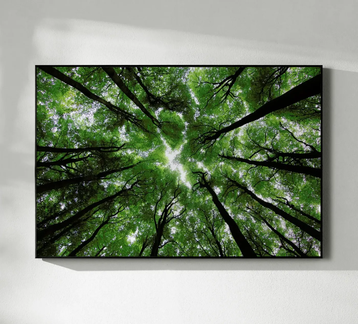 Beechwood acrylic glass by Marc Gruninger