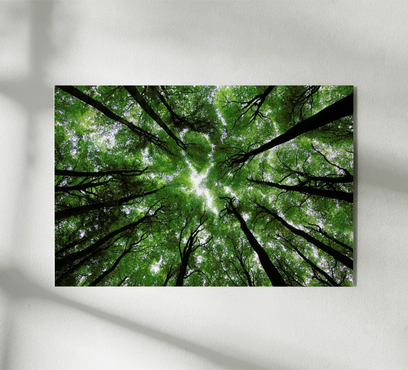 Beechwood acrylic glass by Marc Gruninger