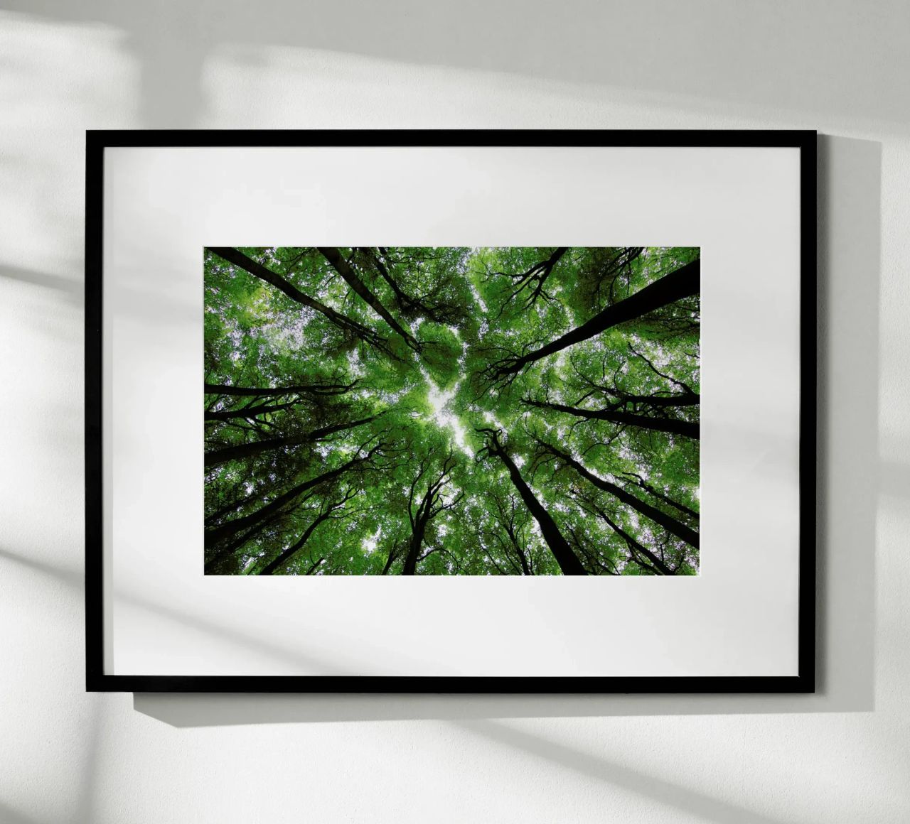 Beechwood Poster von Marc Gruninger