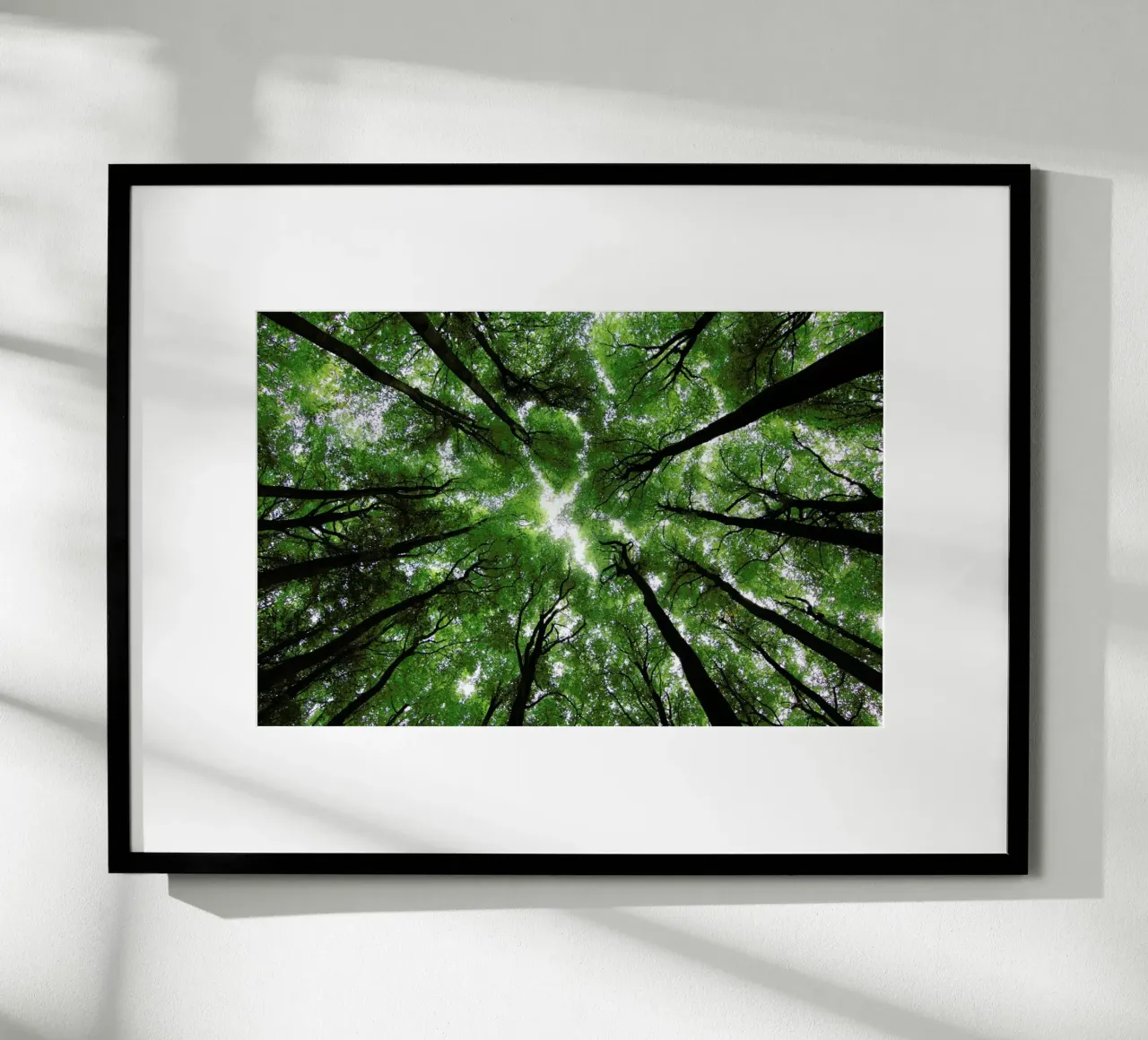 Beechwood poster con telaio in legno da Marc Gruninger