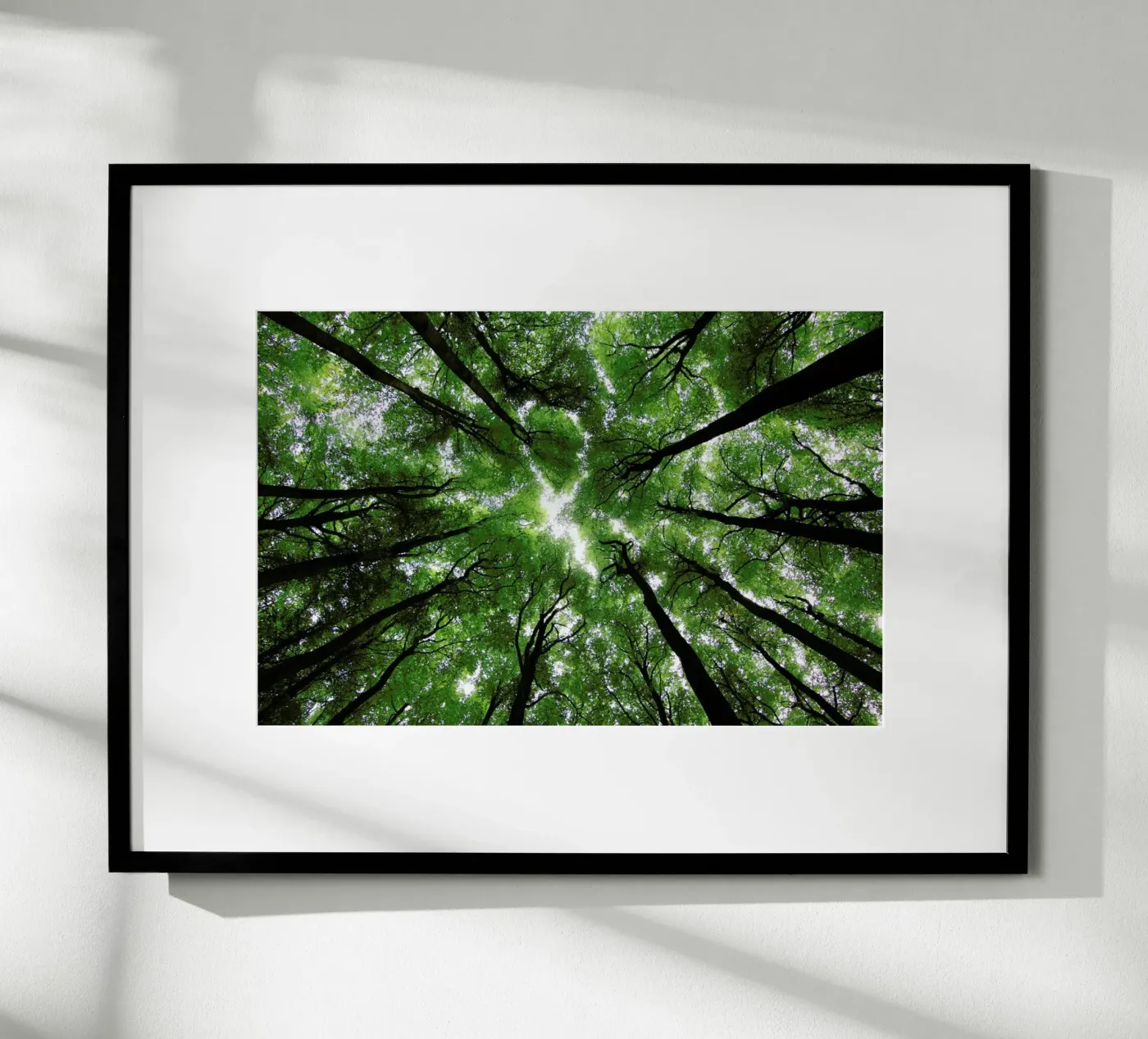 Beechwood poster da Marc Gruninger