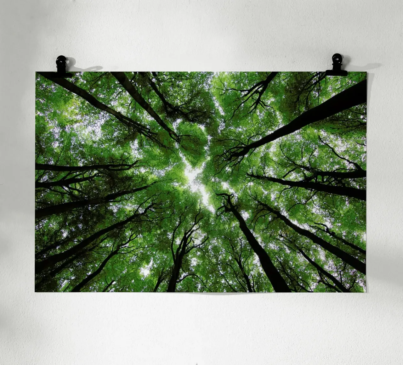 Beechwood poster con telaio in legno da Marc Gruninger