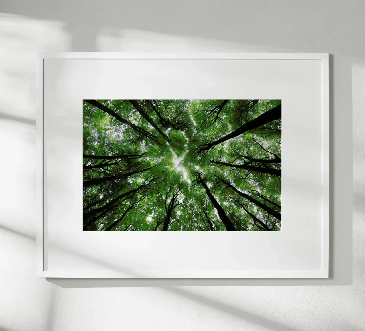 Beechwood poster con telaio in legno da Marc Gruninger