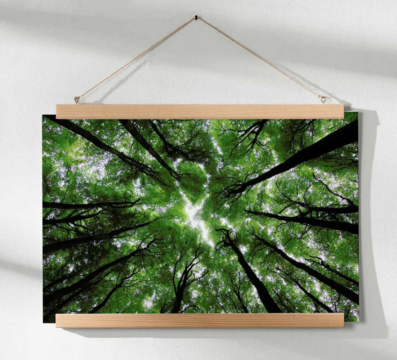 Beechwood Poster von Marc Gruninger