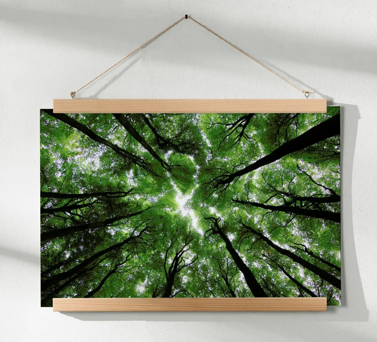 Beechwood poster con telaio in legno da Marc Gruninger