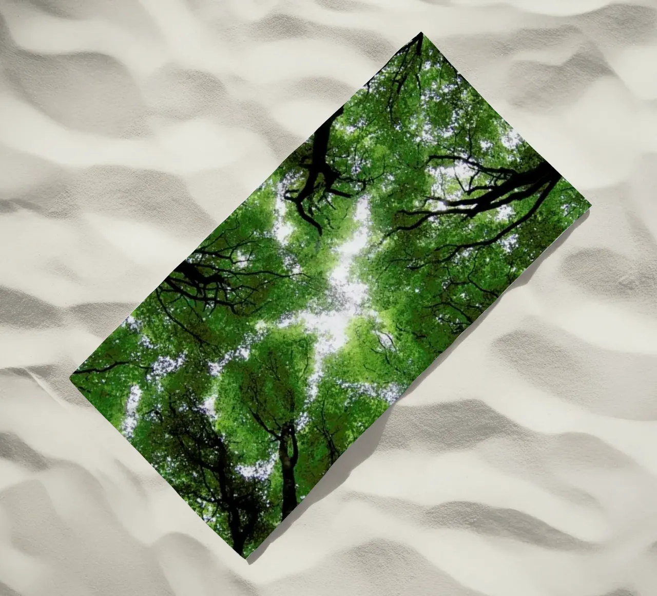 Beechwood telo mare da Marc Gruninger