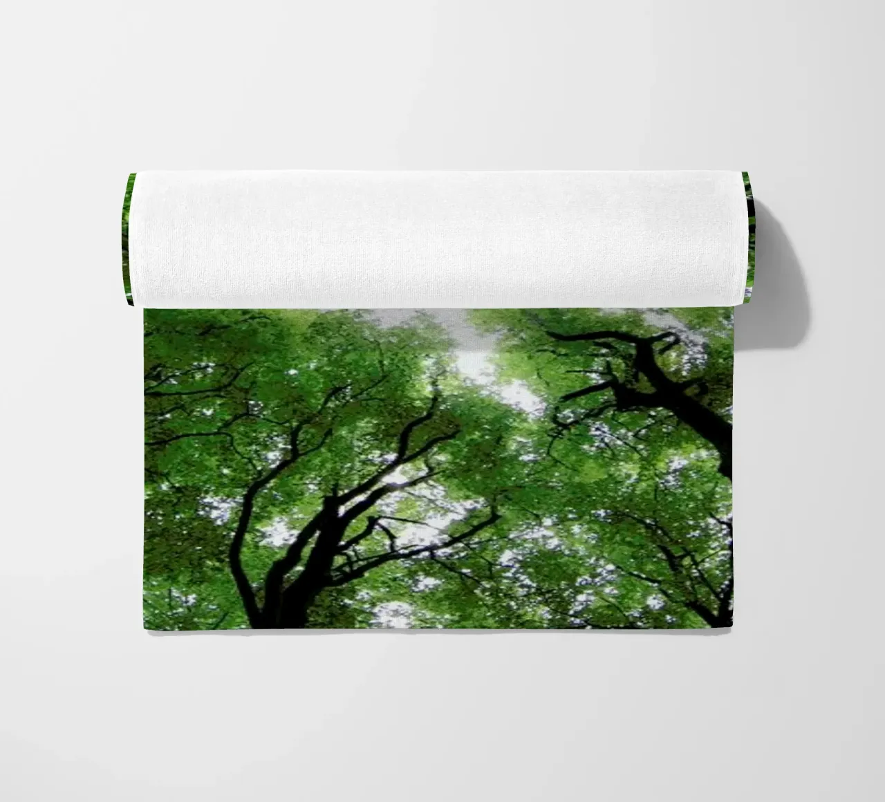 Beechwood telo mare da Marc Gruninger