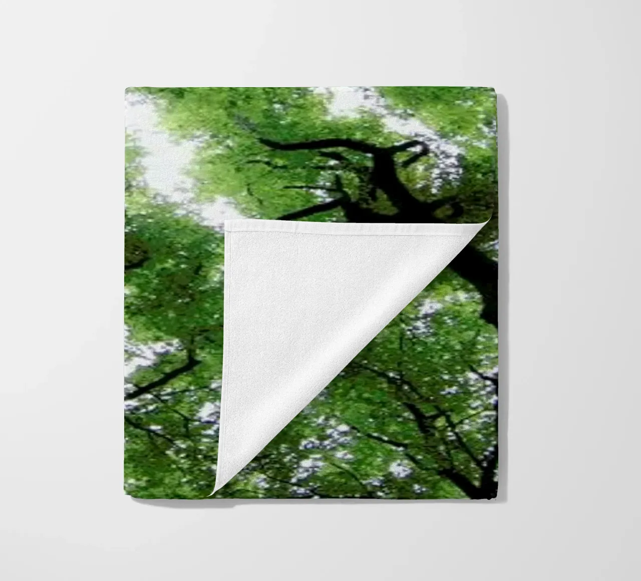 Beechwood telo mare da Marc Gruninger