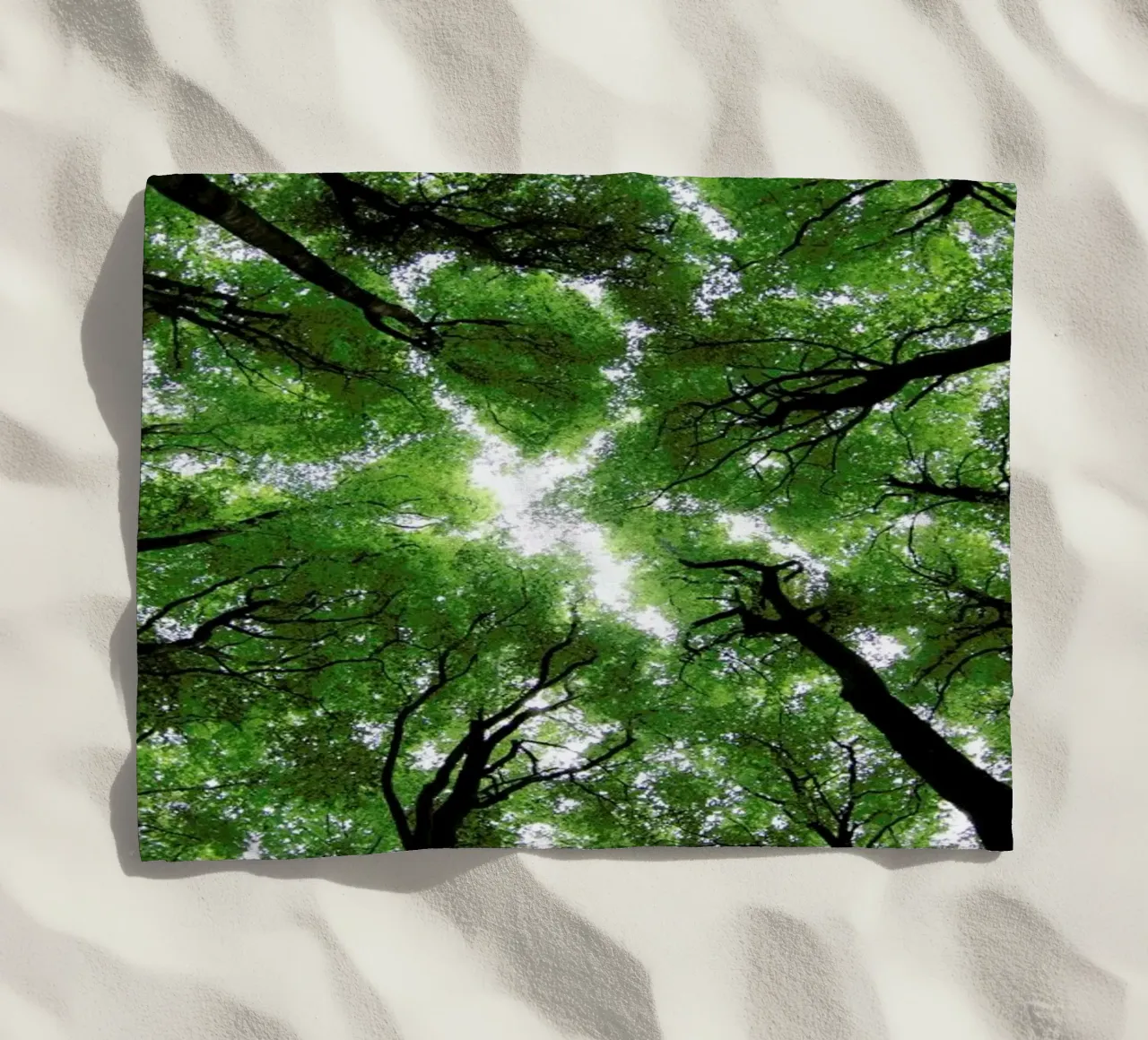 Beechwood telo mare da Marc Gruninger