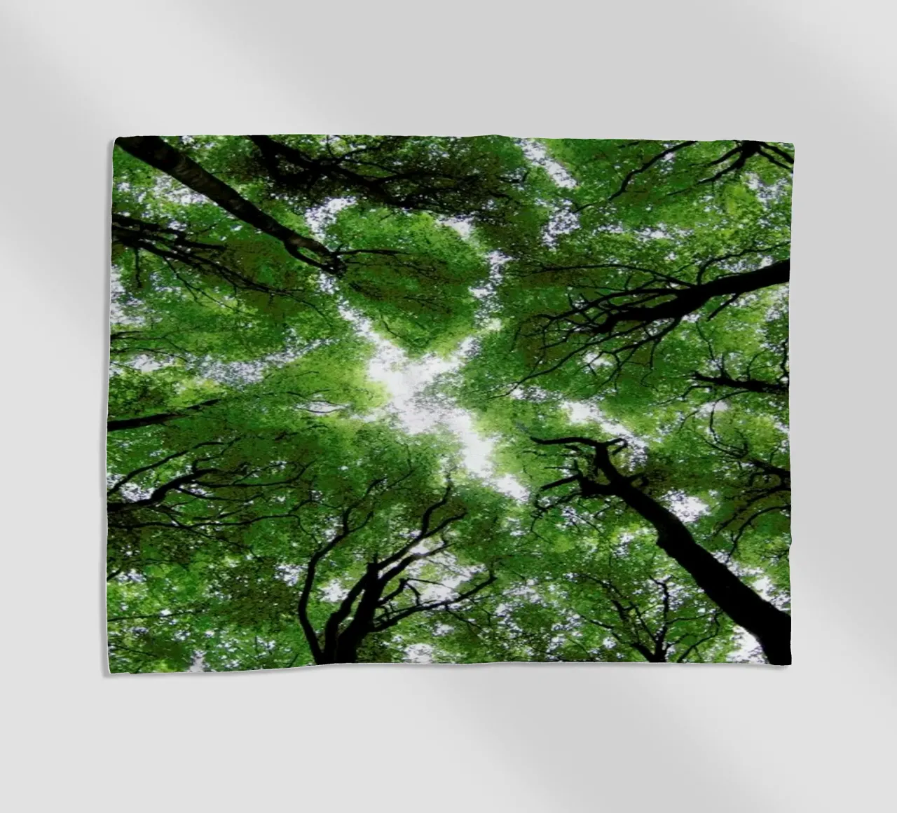 Beechwood telo mare da Marc Gruninger