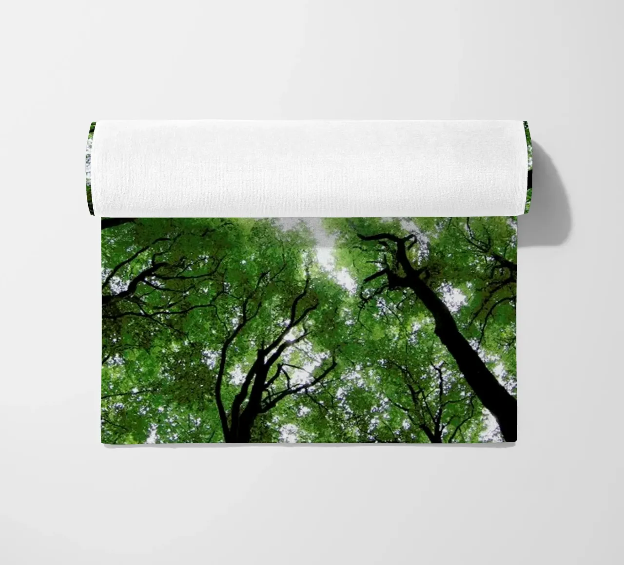 Beechwood telo mare da Marc Gruninger