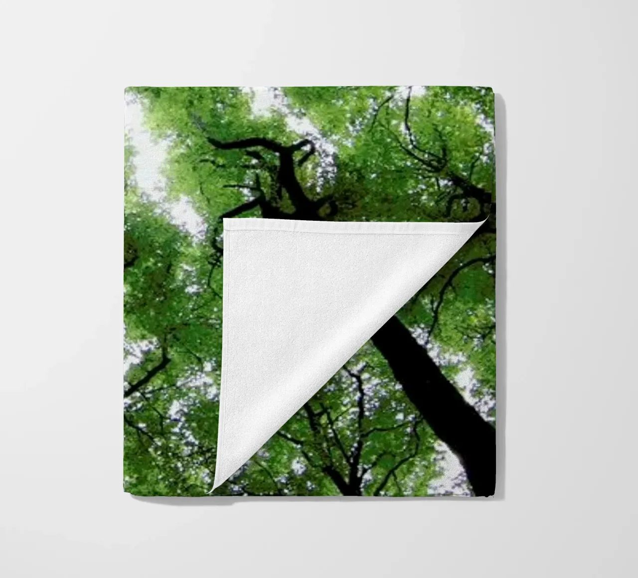 Beechwood telo mare da Marc Gruninger