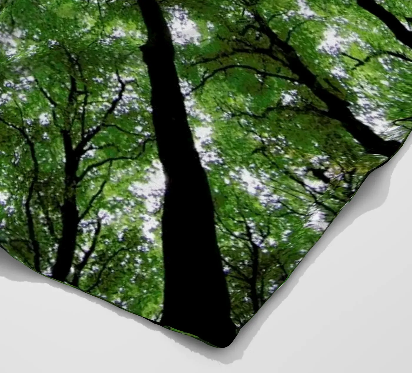 Beechwood Fleecedecke von Marc Gruninger