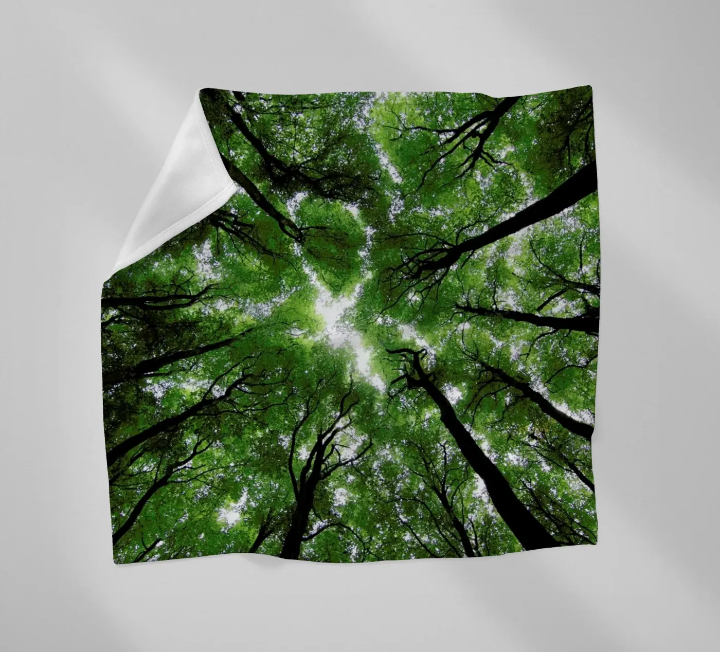 Beechwood Fleecedecke von Marc Gruninger