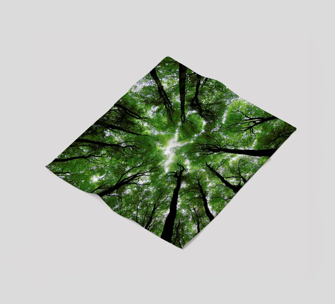 Beechwood Fleecedecke von Marc Gruninger