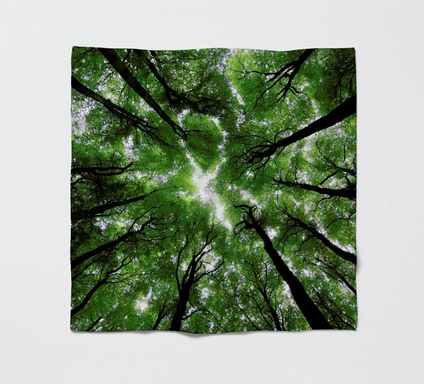 Beechwood Fleecedecke von Marc Gruninger