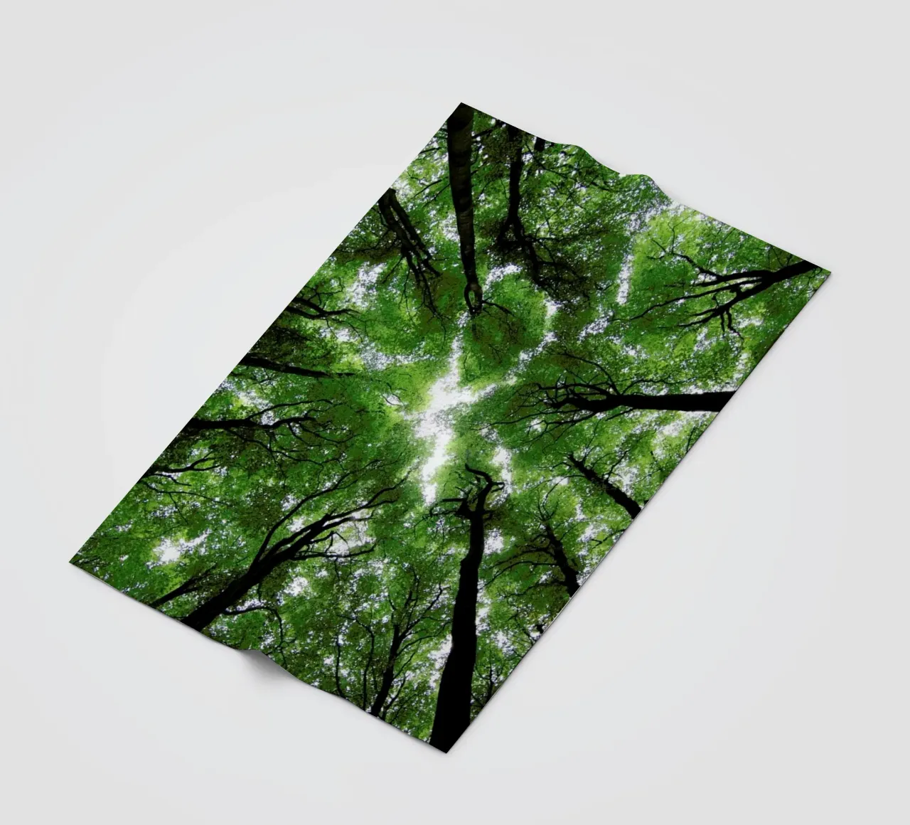 Beechwood coperta in pile da Marc Gruninger