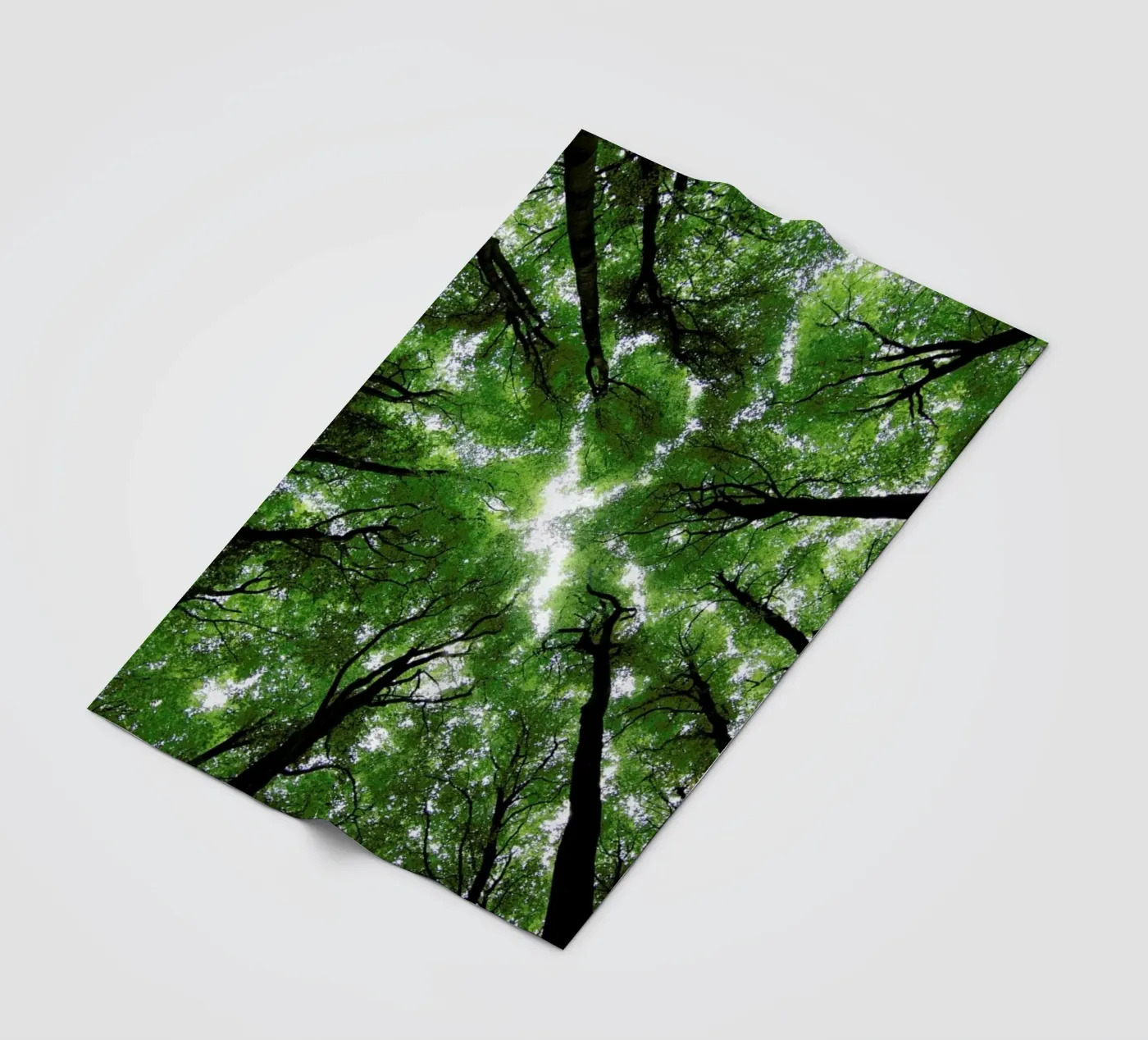 Beechwood Fleecedecke von Marc Gruninger