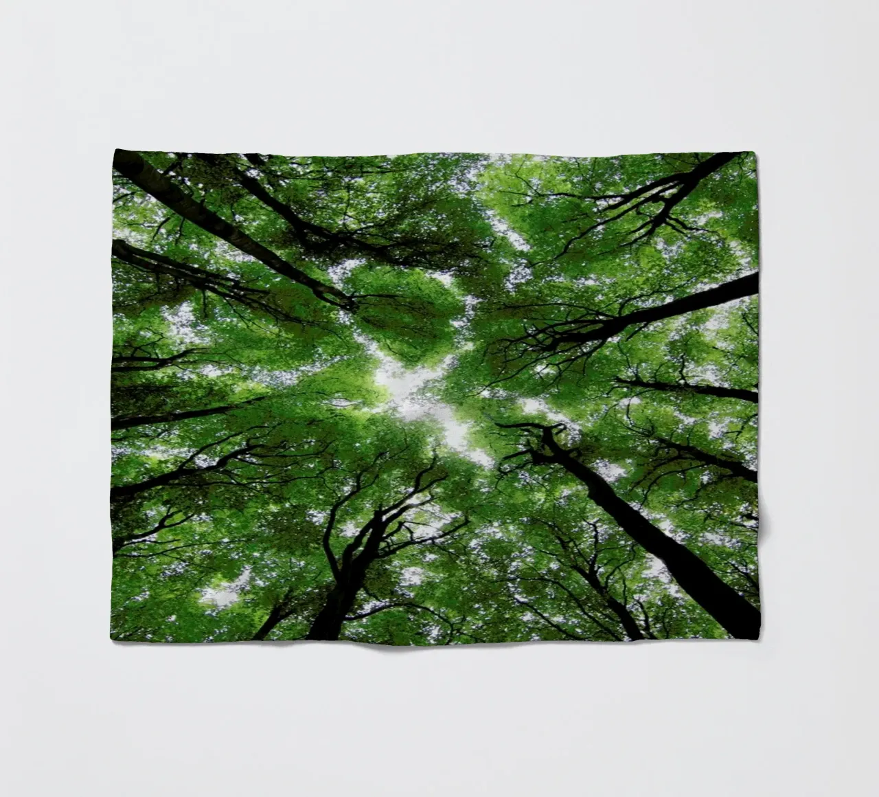 Beechwood coperta in pile da Marc Gruninger