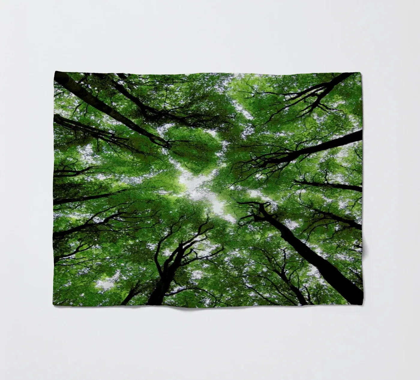 Beechwood Fleecedecke von Marc Gruninger