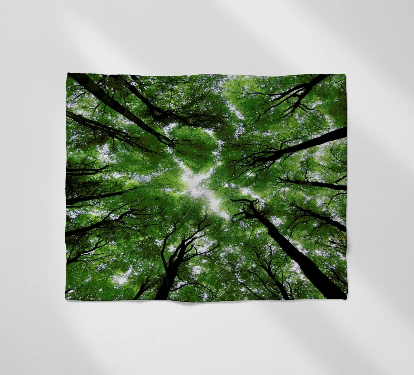 Beechwood Fleecedecke von Marc Gruninger