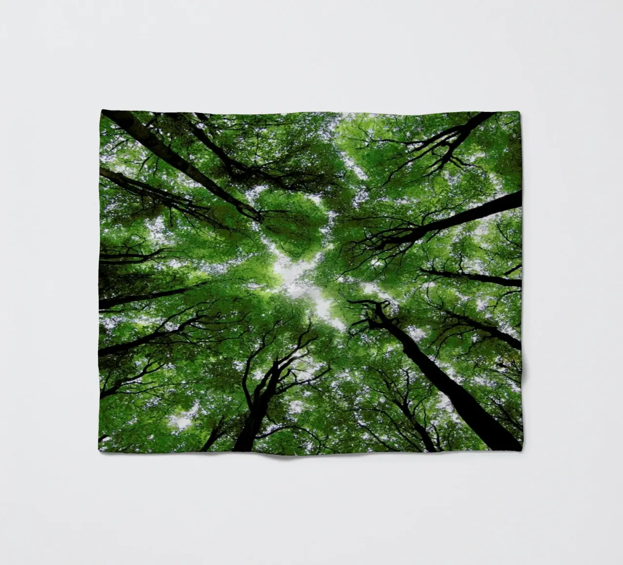 Beechwood coperta in pile da Marc Gruninger