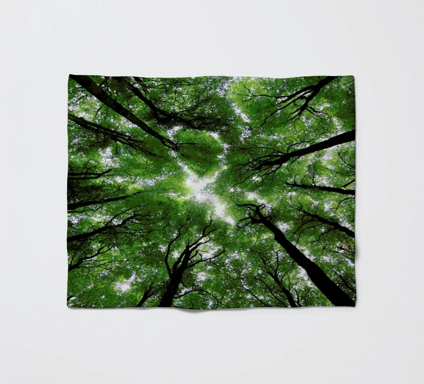 Beechwood Fleecedecke von Marc Gruninger