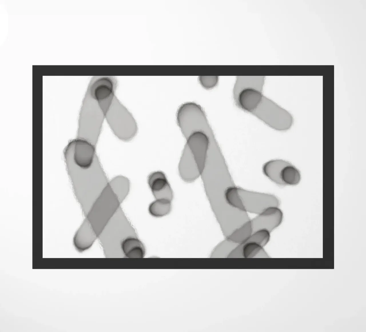 Linee minimali stratificate 1 zerbino da Studio B