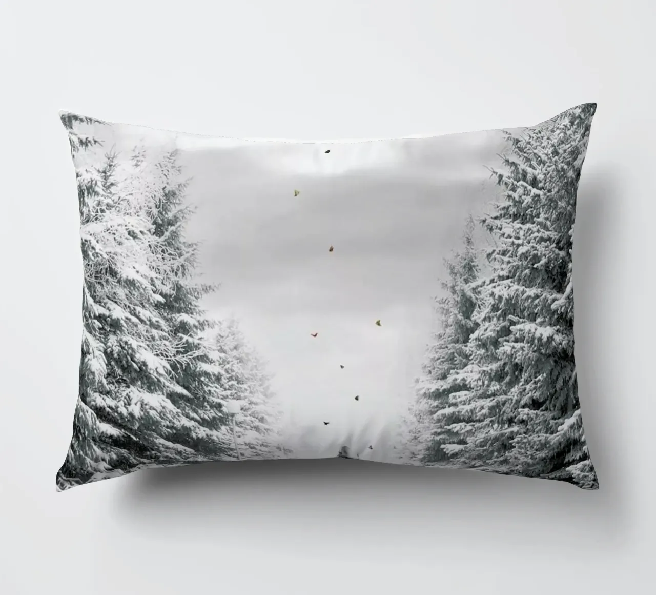 The Path cuscino da Jason Brueck