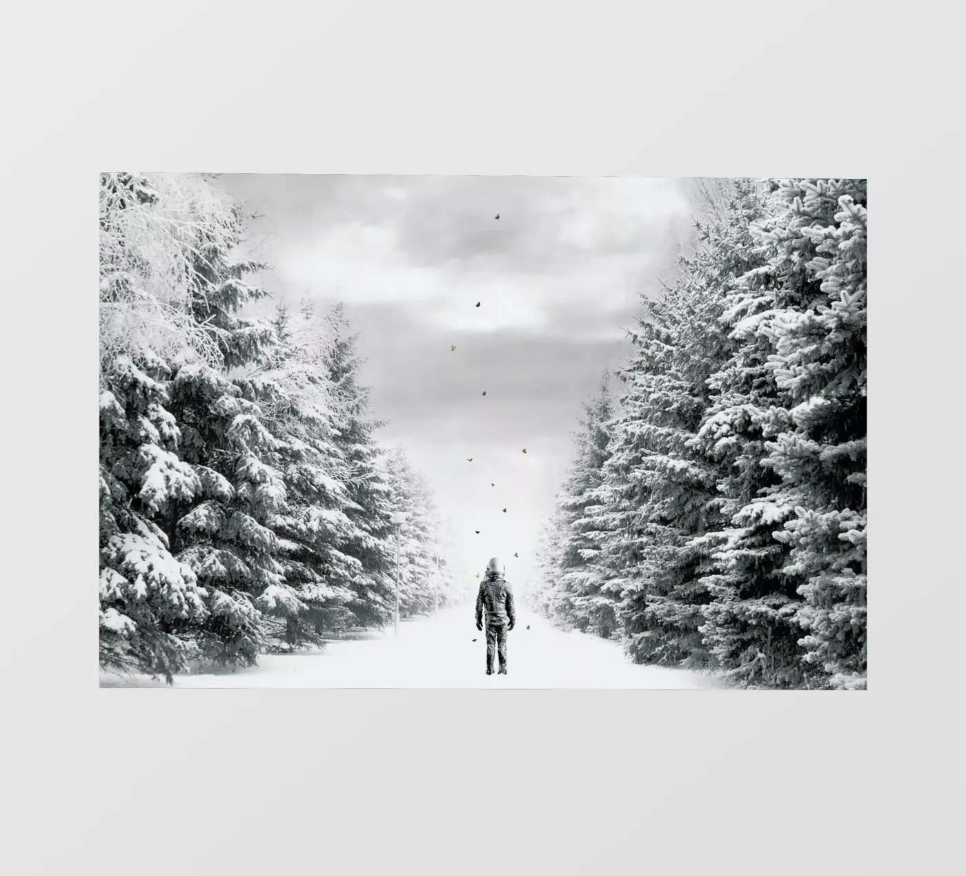 The Path pellicola backlit da Jason Brueck