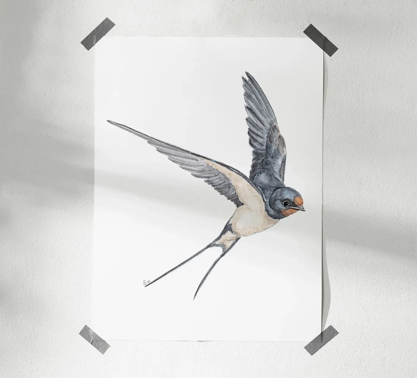 Barn Swallow poster by zeitfuerkrimsundkrams