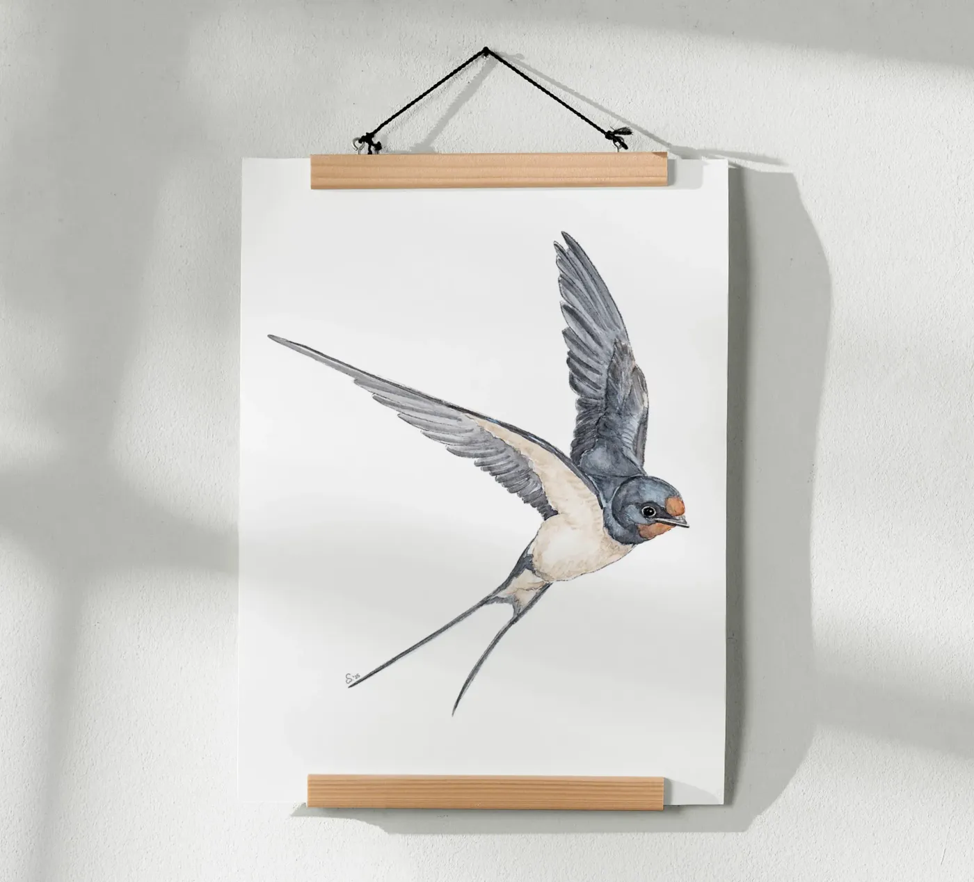 Barn Swallow poster by zeitfuerkrimsundkrams