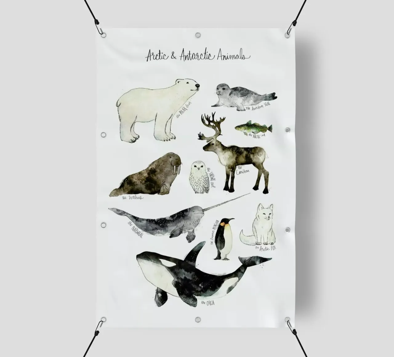 Arctic and Antarctic Animals telo in pvc da Amy Hamilton