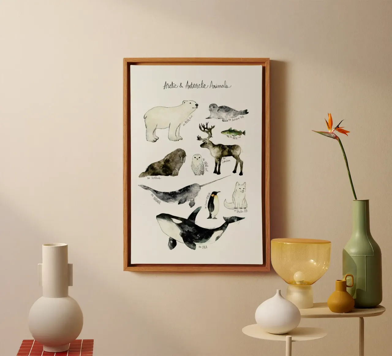 Arctic and Antarctic Animals tela con Cornice a cassetta da Amy Hamilton