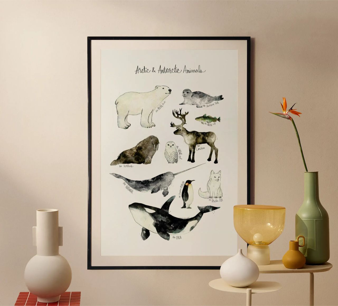 Arctic and Antarctic Animals poster van Amy Hamilton