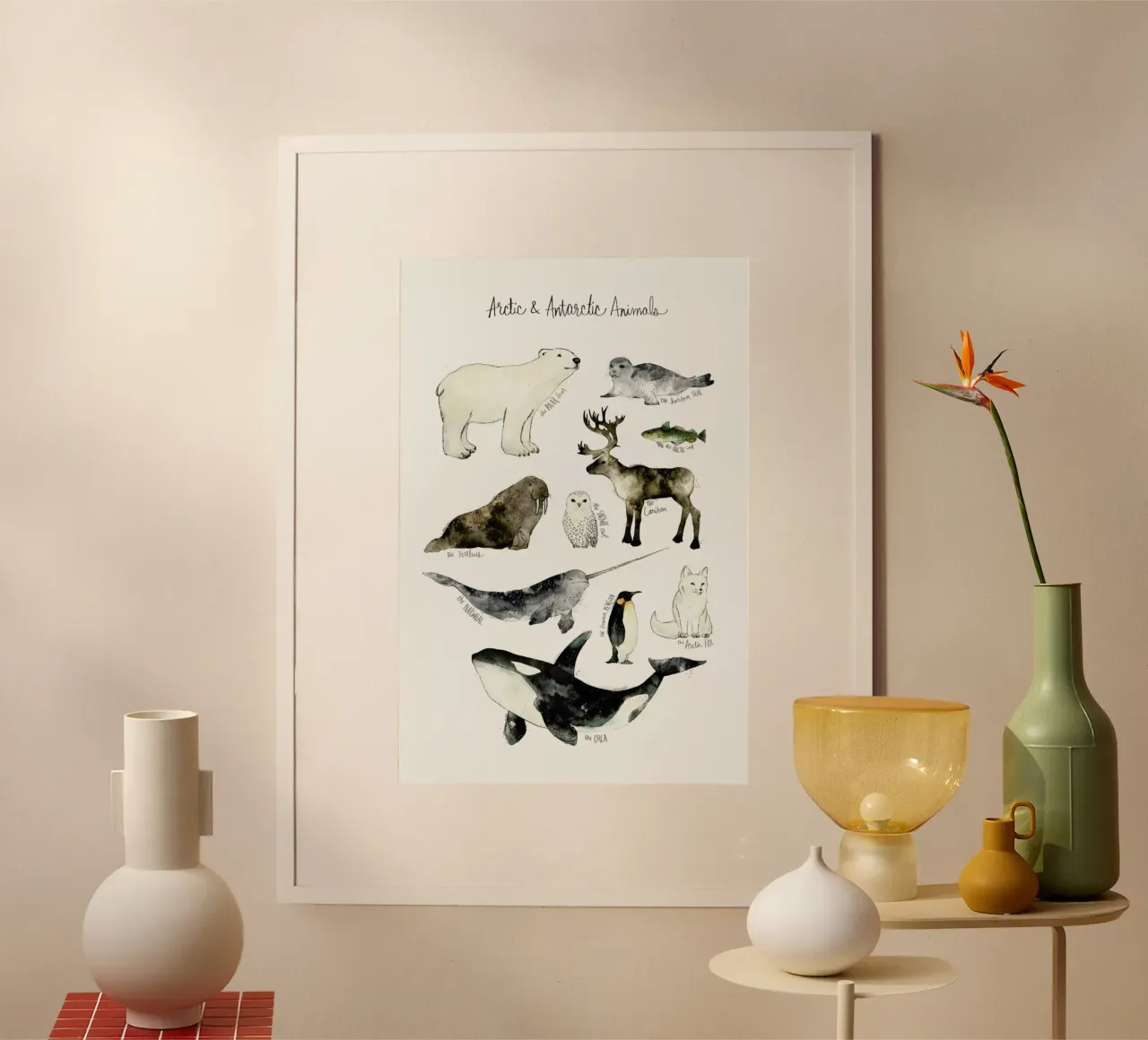 Arctic and Antarctic Animals carta hahnemühle da Amy Hamilton