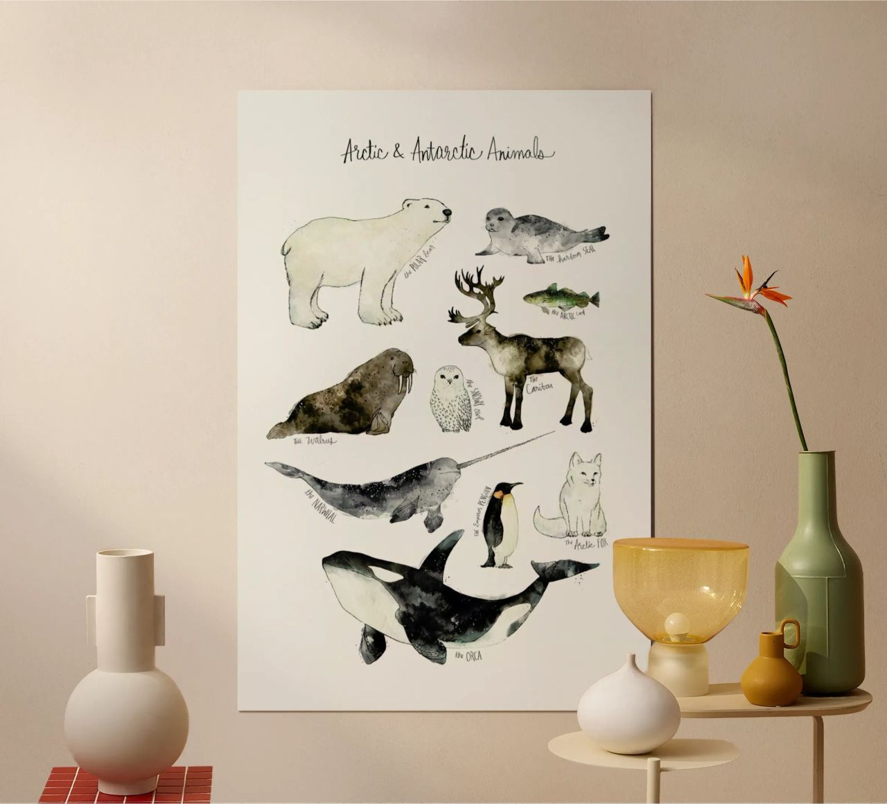 Arctic and Antarctic Animals poster van Amy Hamilton