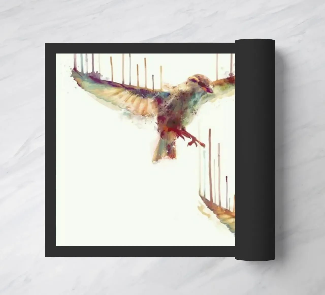 Awake zerbino da Amy Hamilton