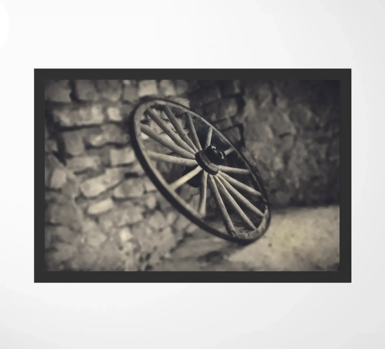 Waggon Wheel zerbino da Dave Hare Photography