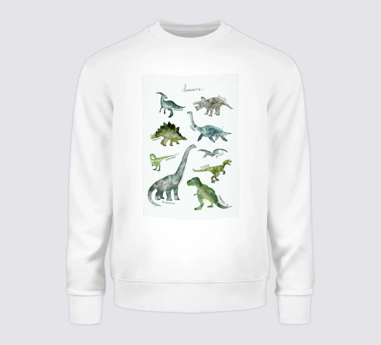 Dinosaurs sudadera de Amy Hamilton