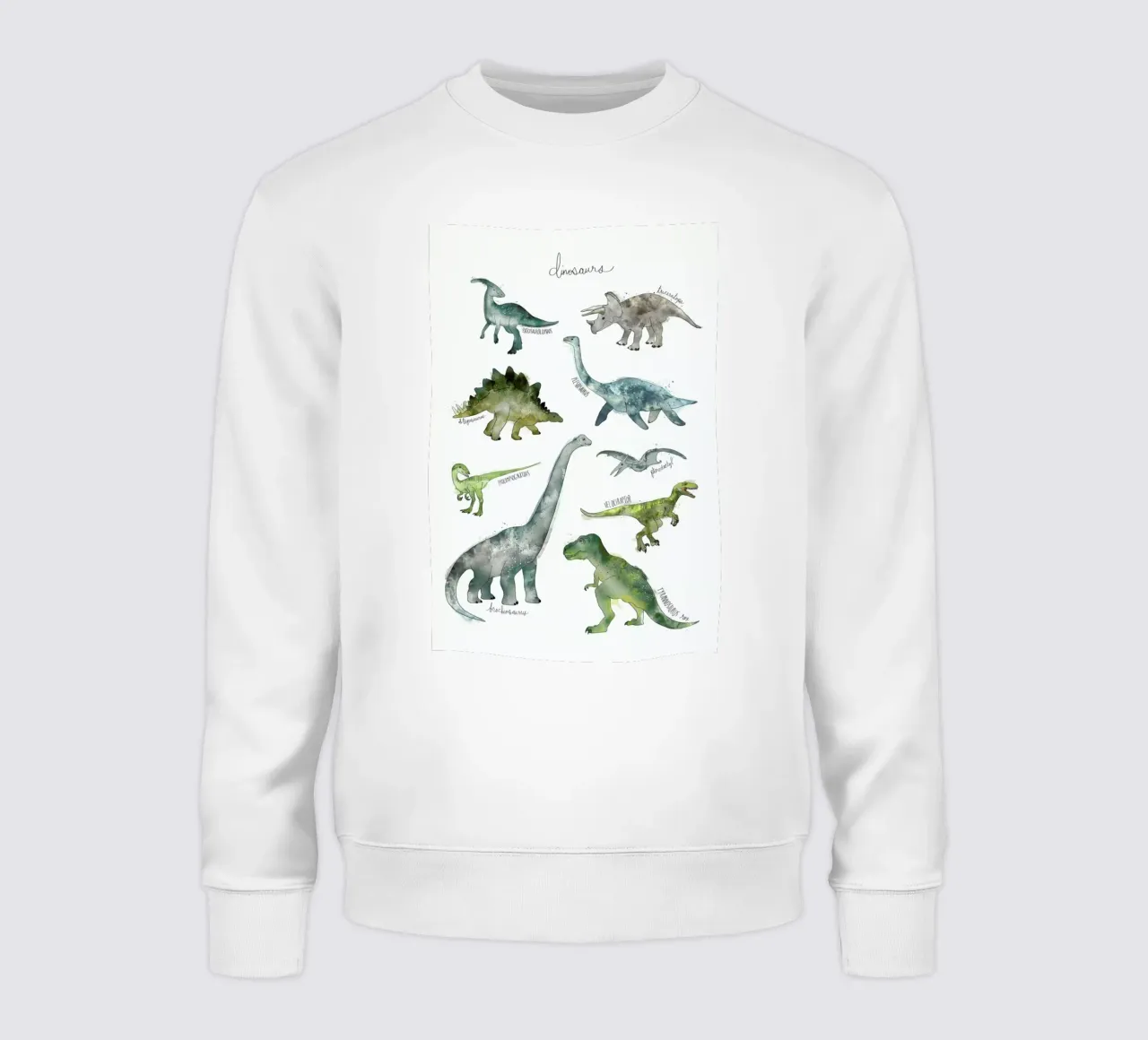 Dinosaurs sweatshirt van Amy Hamilton