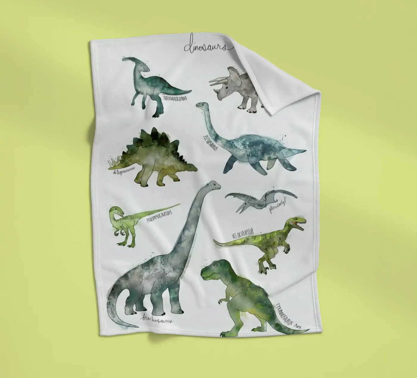 Dinosaurs Fleecedecke von Amy Hamilton