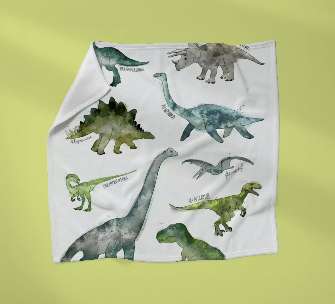 Dinosaurs Fleecedecke von Amy Hamilton