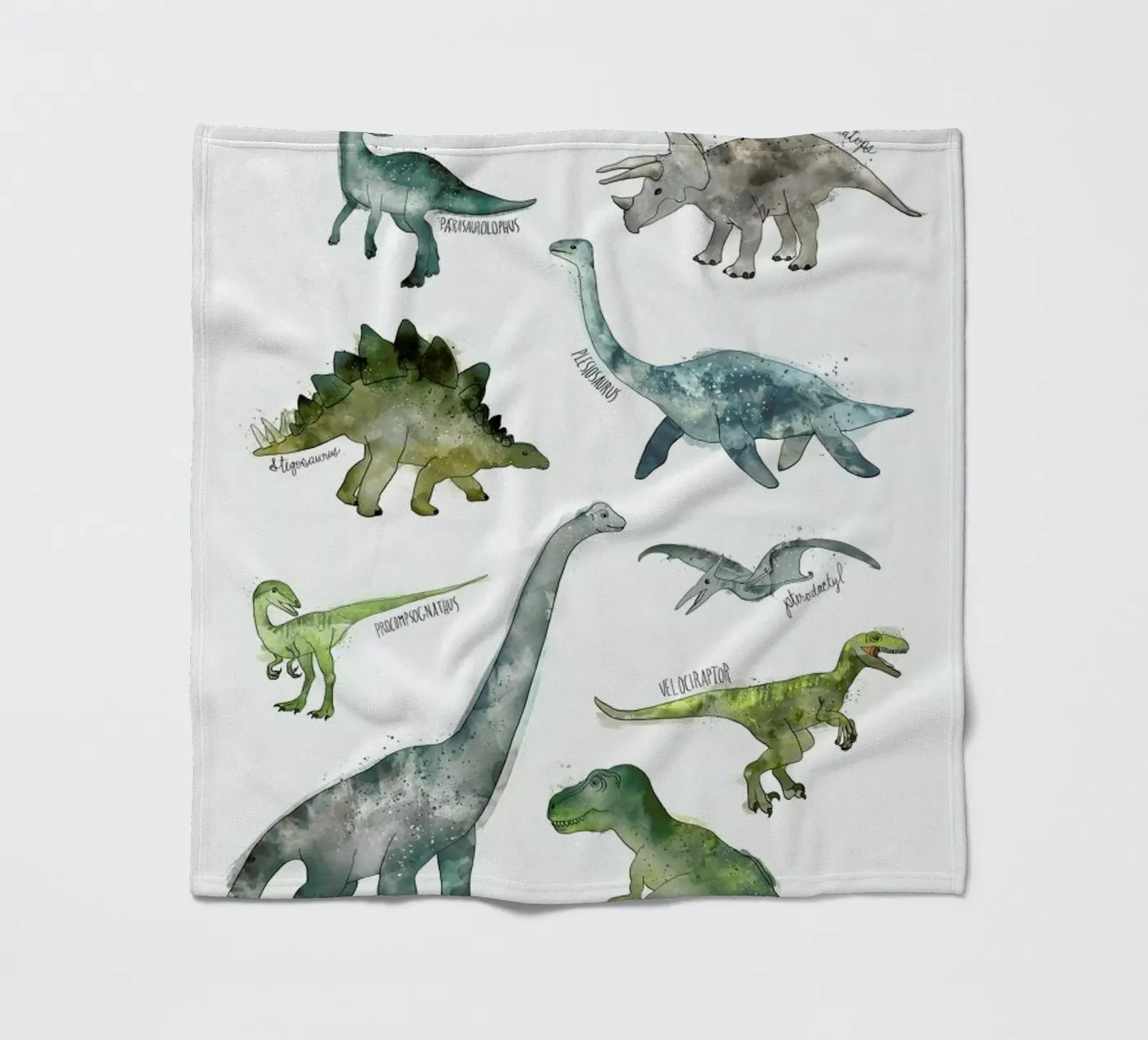 Dinosaurs Fleecedecke von Amy Hamilton