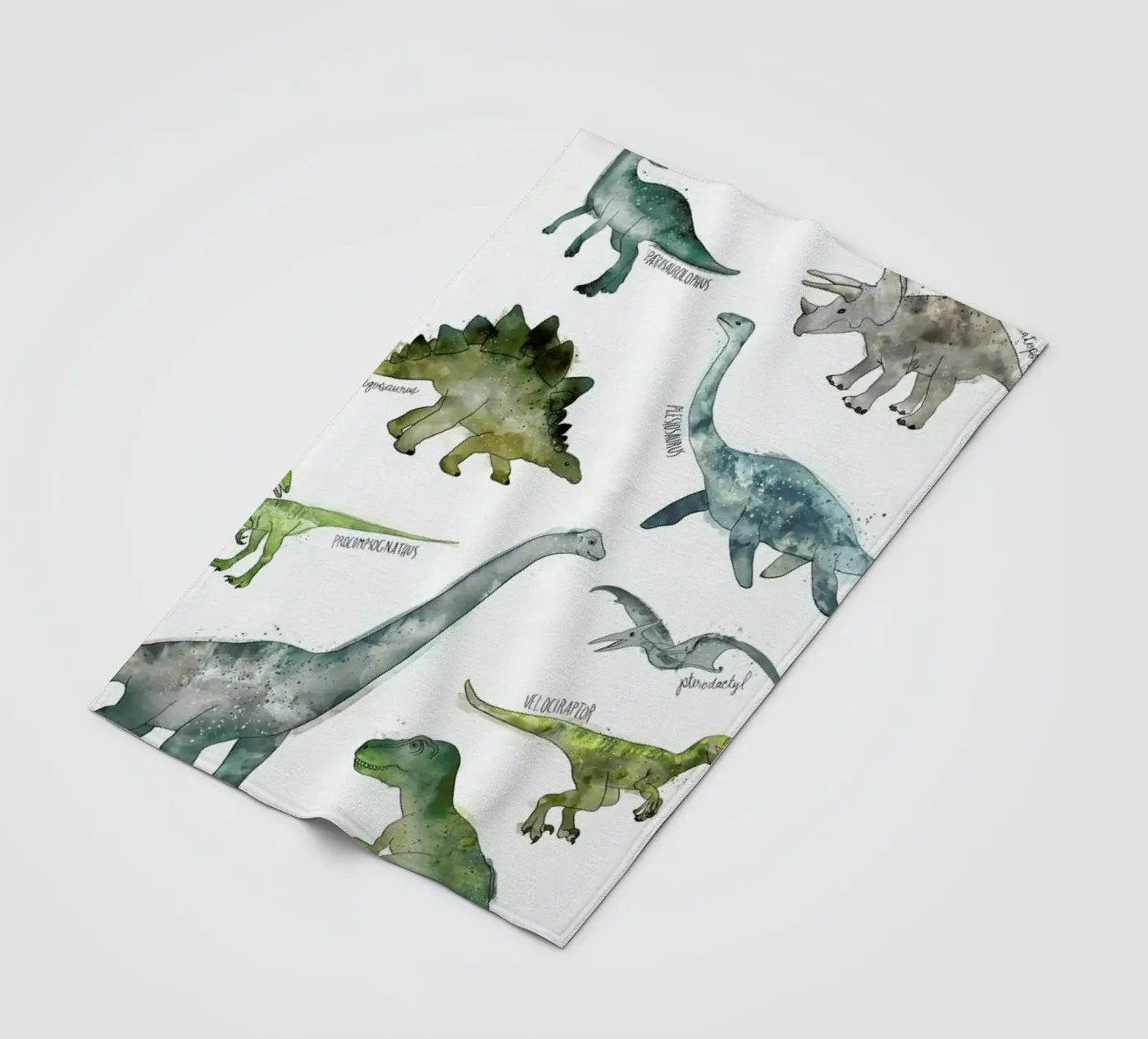 Dinosaurs Fleecedecke von Amy Hamilton