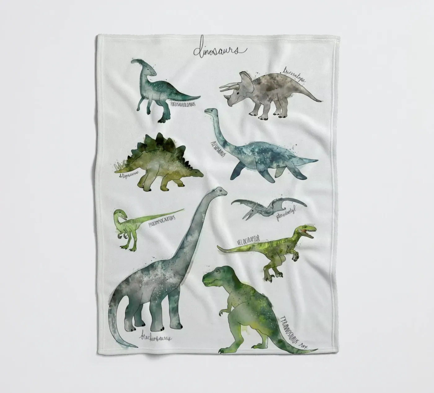 Dinosaurs Fleecedecke von Amy Hamilton