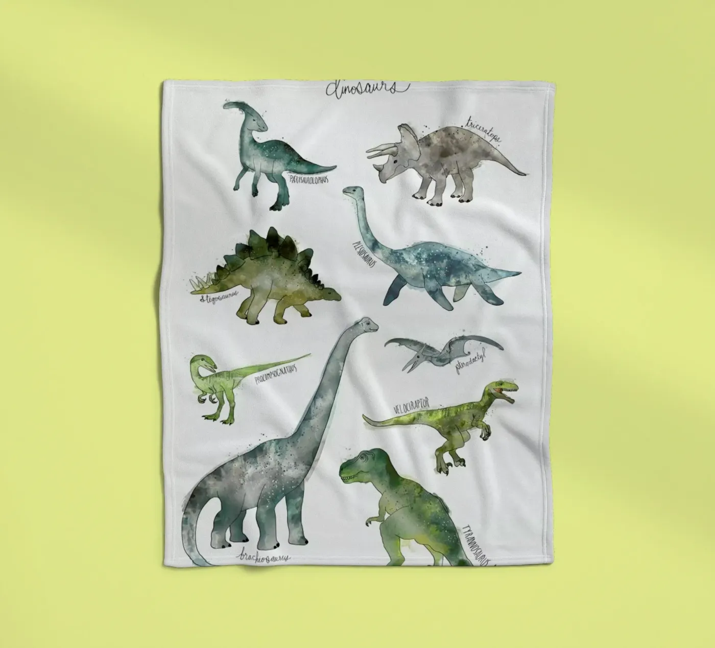Dinosaurs Fleecedecke von Amy Hamilton